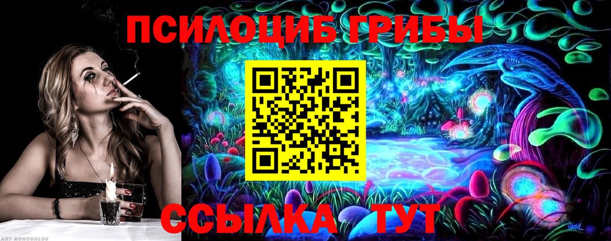 Галлюциногенные грибы Cubensis Ефремов