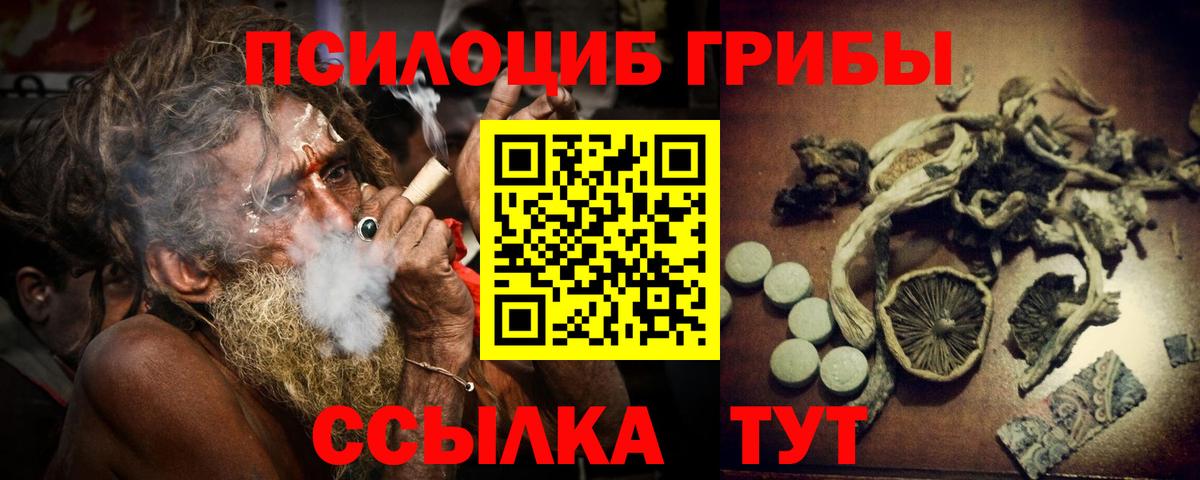 Ефремов  Псилоцибиновые грибы Psilocybe  Вход с VPN  Псилоцибиновые грибы GOLDEN TEACHER 